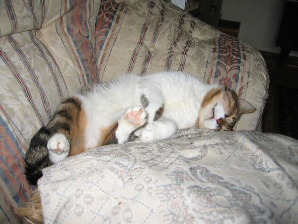 Галина Савинкина