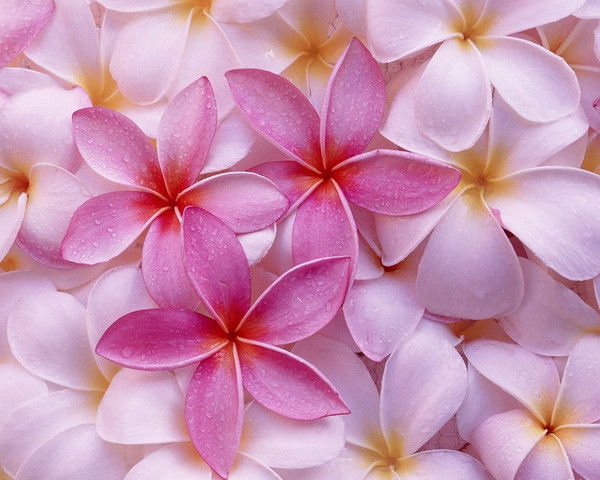 Юлия Косматенко