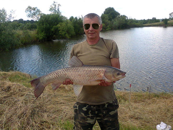 Николай Кобля