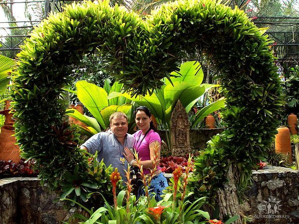 Евгений Просветов