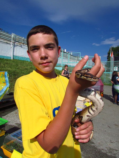 Сергей Грачёв