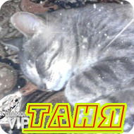 Татьяна Трофимова