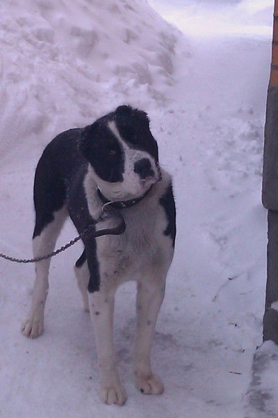 Егор Вергейчик