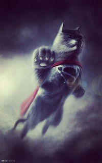 Никита Секачёв