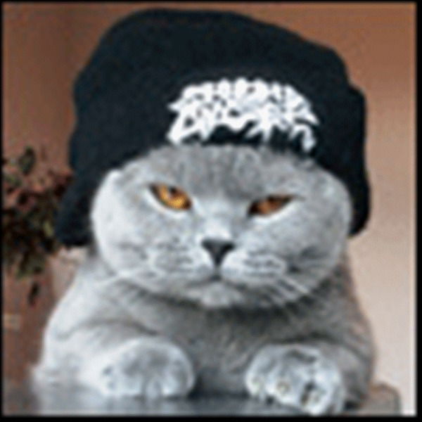 Юрий Новиков