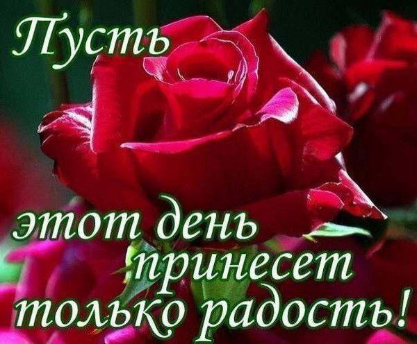 Ирина Козлова