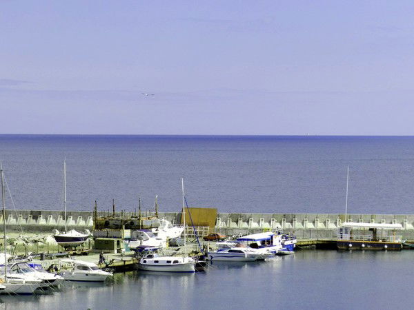 Ирина Сотникова