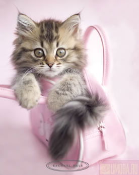 Екатерина Матвеева