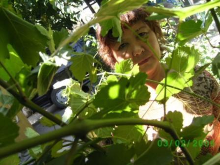 Любовь Идрисова