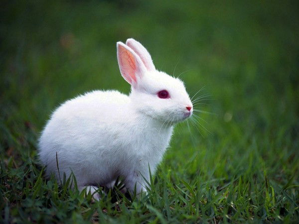 Даша Епифанова