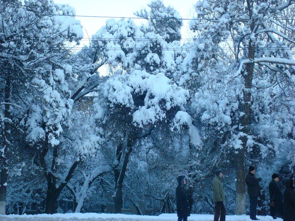 Гаухар Абуева