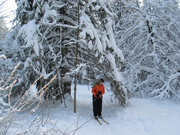 Лариса Кутузова