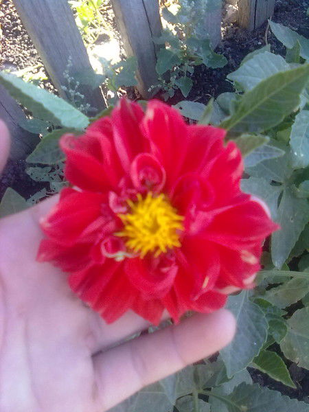 Татьяна ******