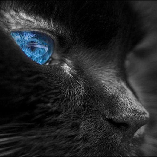 Гришина Марина