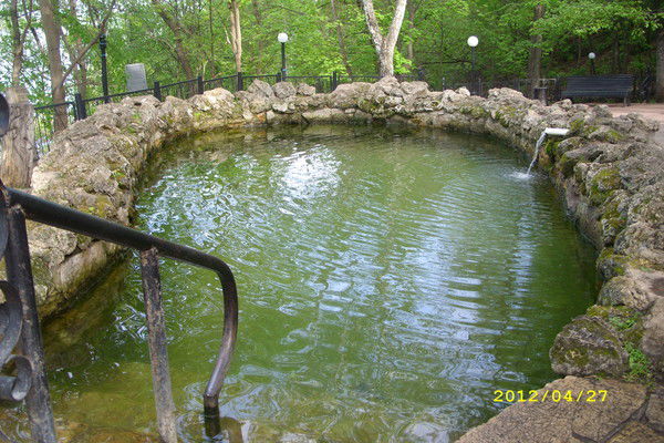 Эльмира Гаврилова