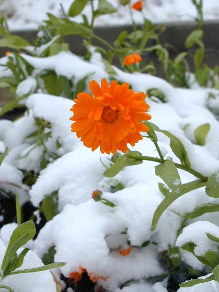 Игорь Павлюк