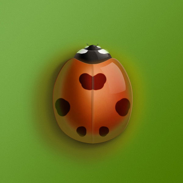 Екатерина Ковалева