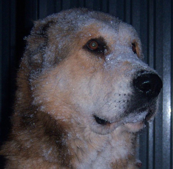 Айбек Акильжанов