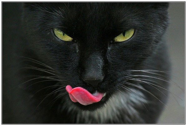 Галина Фамилия