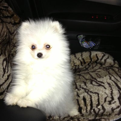 Кристина Нужина