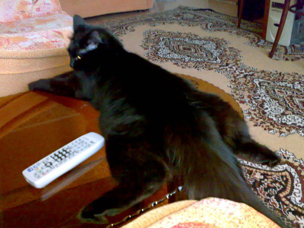 Галина Илющенко