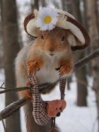 Галина Ефимова