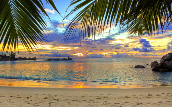 Нечаев Анатолий