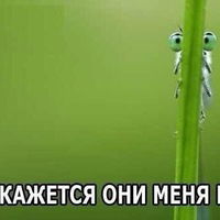 Алина Егорова