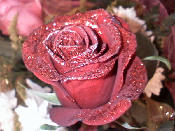 Татьяна Баранулькина