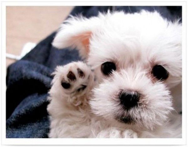 Анна Кузьмина