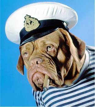 Александр Климов