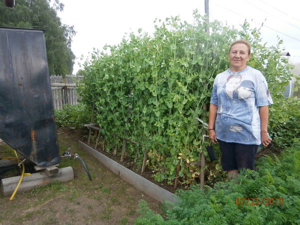 Елена Болтрукевич