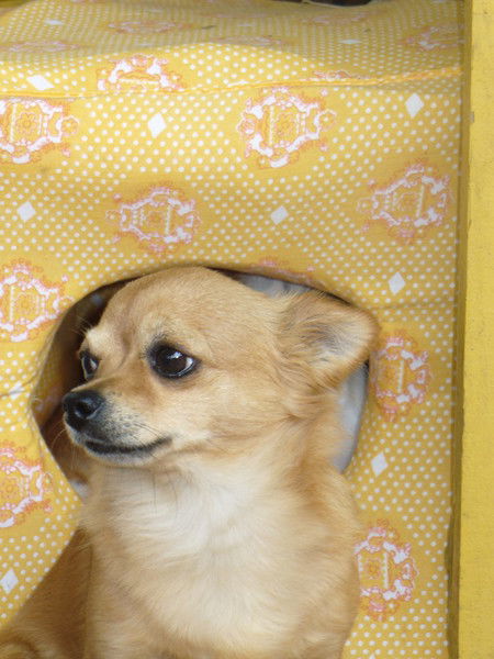 Нина Новикова