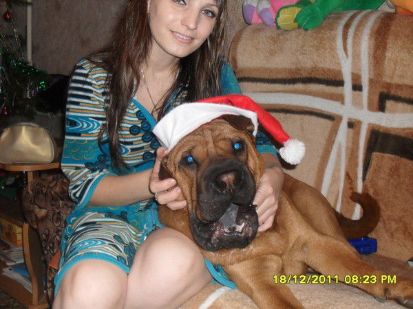 Алёна Павлюк