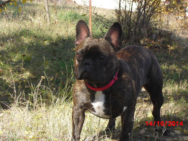 Женя Баннов