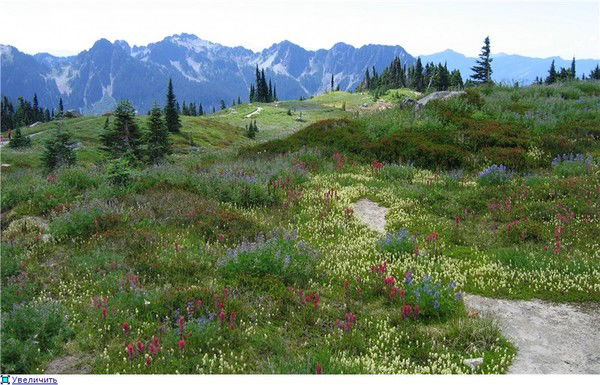 Татьяна Бабакова