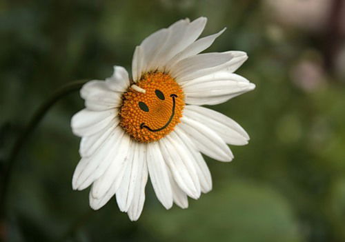 Юля Твердохлебова