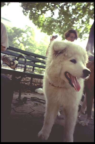 Вика Дужкова