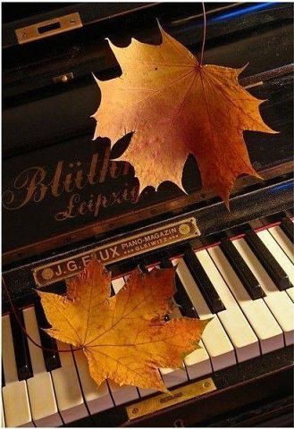 Ольга Чудневцева