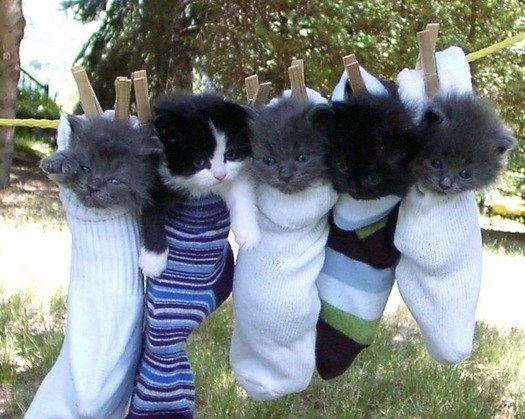 Саид Крайнюк