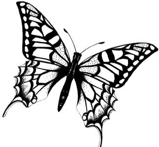 Добрые Вести И Объявления