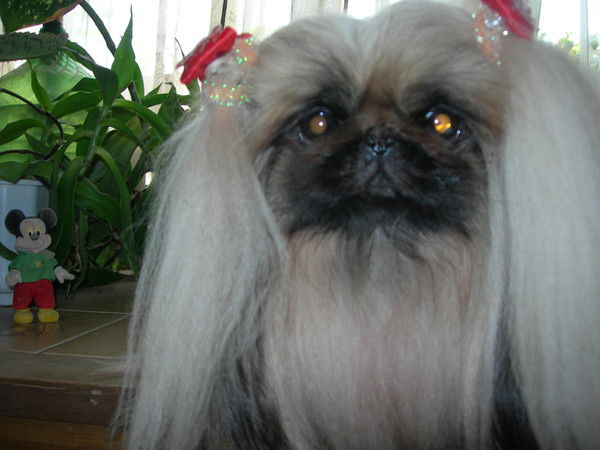 Ирина Гончар