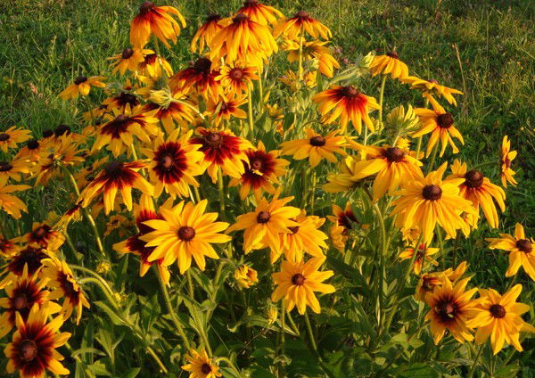 Валерия Попова