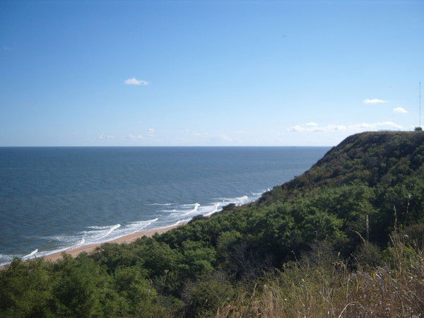 Алексей Малюгин