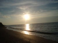 Марина Викулина