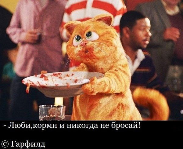 Бодя Бобенко