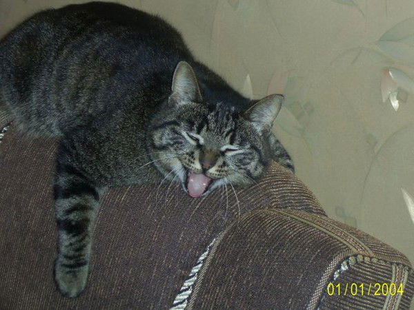 Владимир Труш