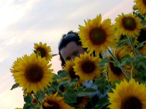 Наташа Комарова