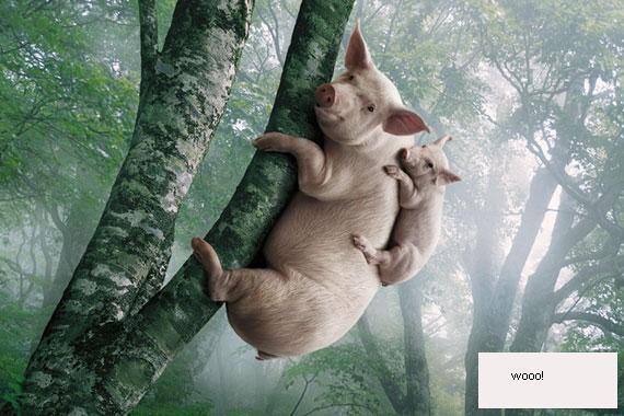 Виктор Стельмах