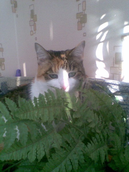 Гульмира Кдыргалиева